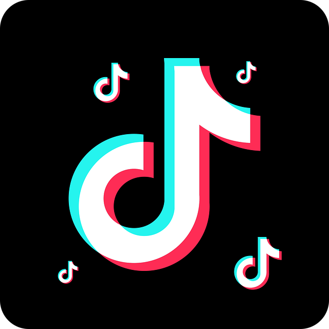 TikTok网络检测手段